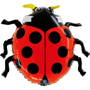 Lady Bug 31"