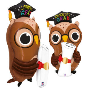 Grad Owl Diploma