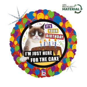 R18 Grumpy Cat Cake Birthday