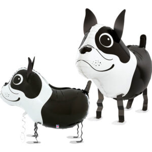 Balloon Friends - Boston Terrier