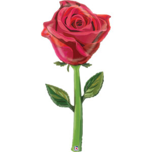 Fresh Picks Satin Rose