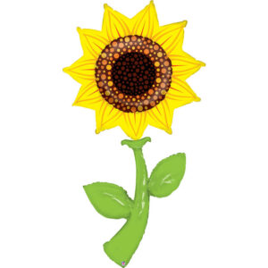 Fresh Picks Sunflower