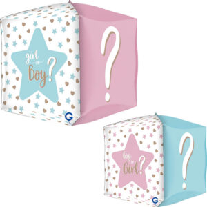 Square 15inc Gender Reveal 4D