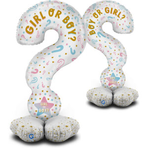 The Standups - Question Mark Gender Reveal