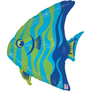 Angel Fish