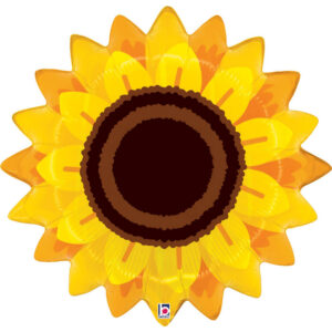 Autumn Sunflower