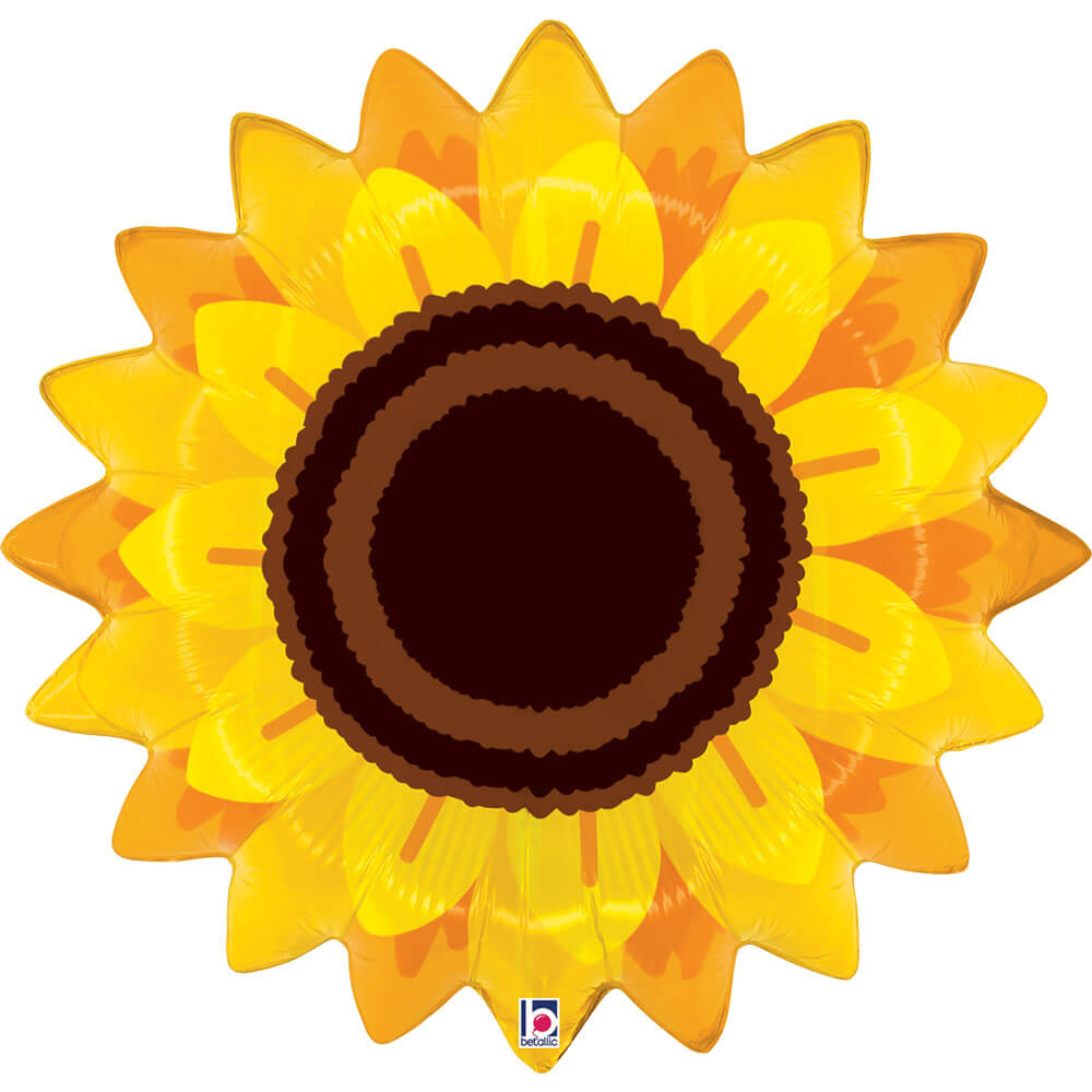 Autumn Sunflower