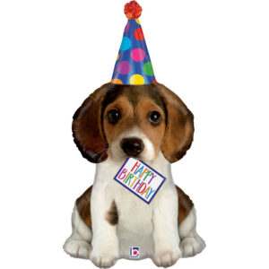 Birthday Puppy