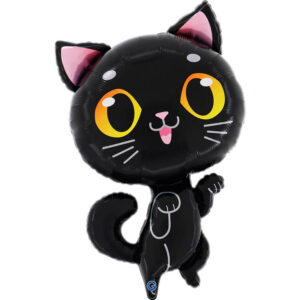 Black Cat