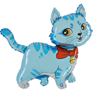 Cat Boy