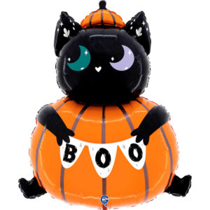 Cat In The Pumpkin