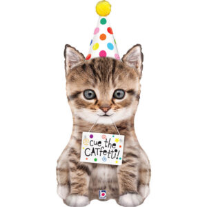 Cue The Catfetti Cat