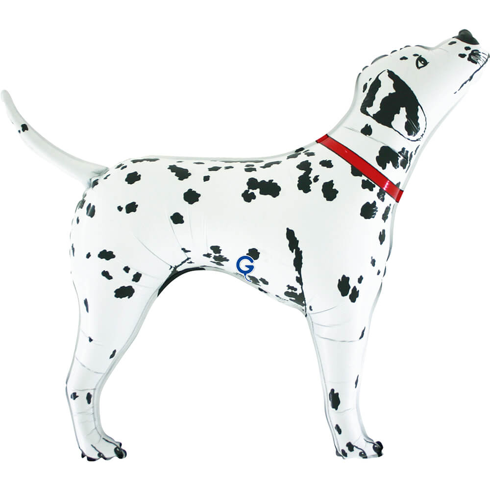 Dalmata Bingo