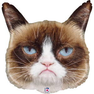 Grumpy Cat