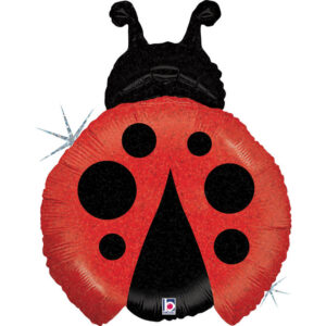 Little Ladybug