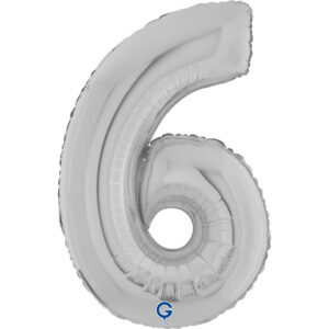 Number 6 Silver 26inc