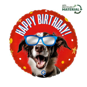 R18 Cool Doggy Birthday