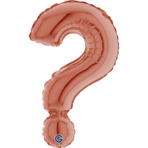 Symbol Question Mark Rose Gold 14inc
