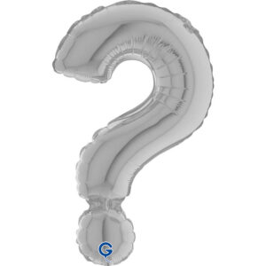 Symbol Question Mark Silver 14inc