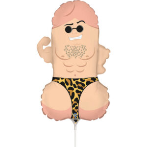 Mr. D mini