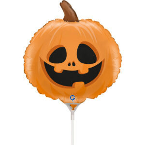 Pumpkin mini