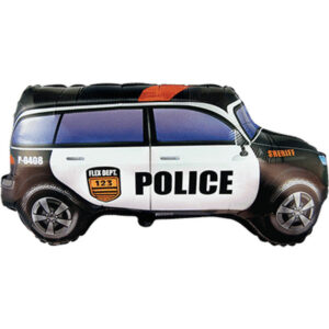 Police Car
