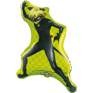 Cat Noir