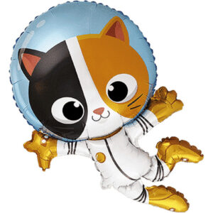 Cat Astronaut