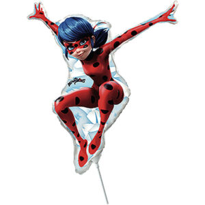Miraculous Ladybug Mini
