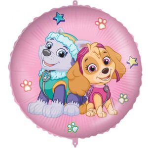 Paw Patrol Skye And Everest