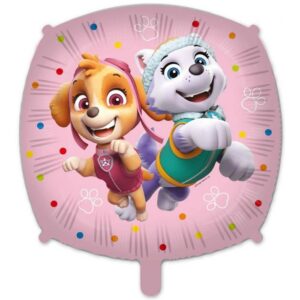 Paw Patrol – Skye And Everest