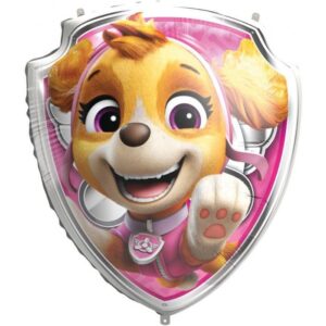 Shield Skye Nickelodeon