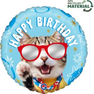 R18 Cool Cat Birthday