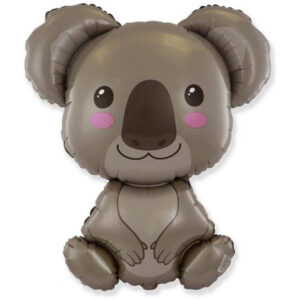 Baby Koala