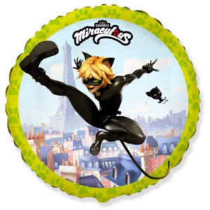 RD Miraculous Cat Noir
